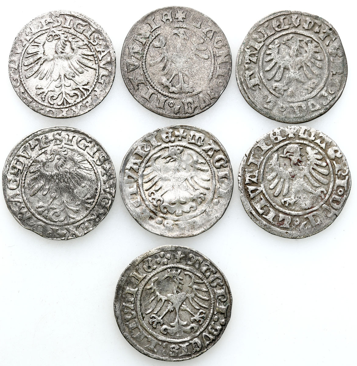 Aleksander Jagiellończyk, Zygmunt I Stary, Zygmunt II August. Półgrosz, Wilno, zestaw 7 monet